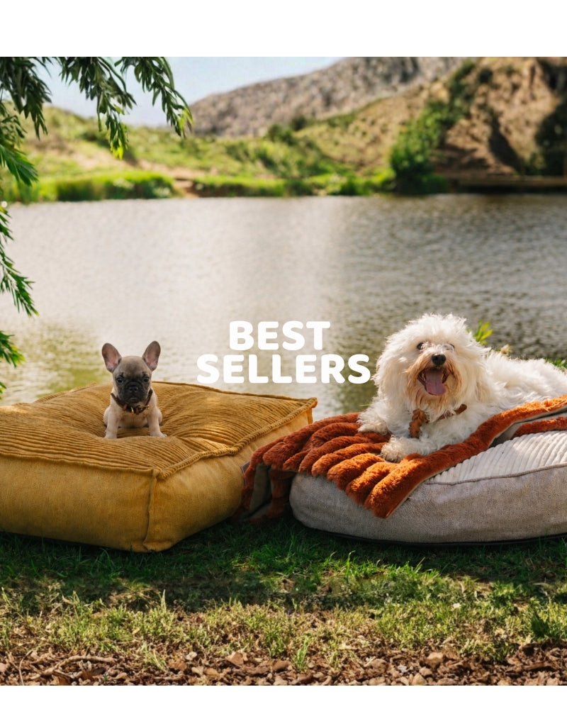 Best-Sellers