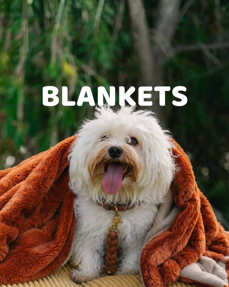 Blankets