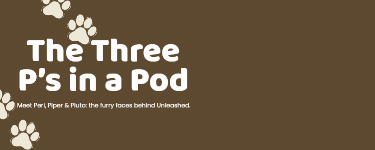 Promotional banner
