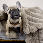 Faux fur and Fleece Pet Blanket