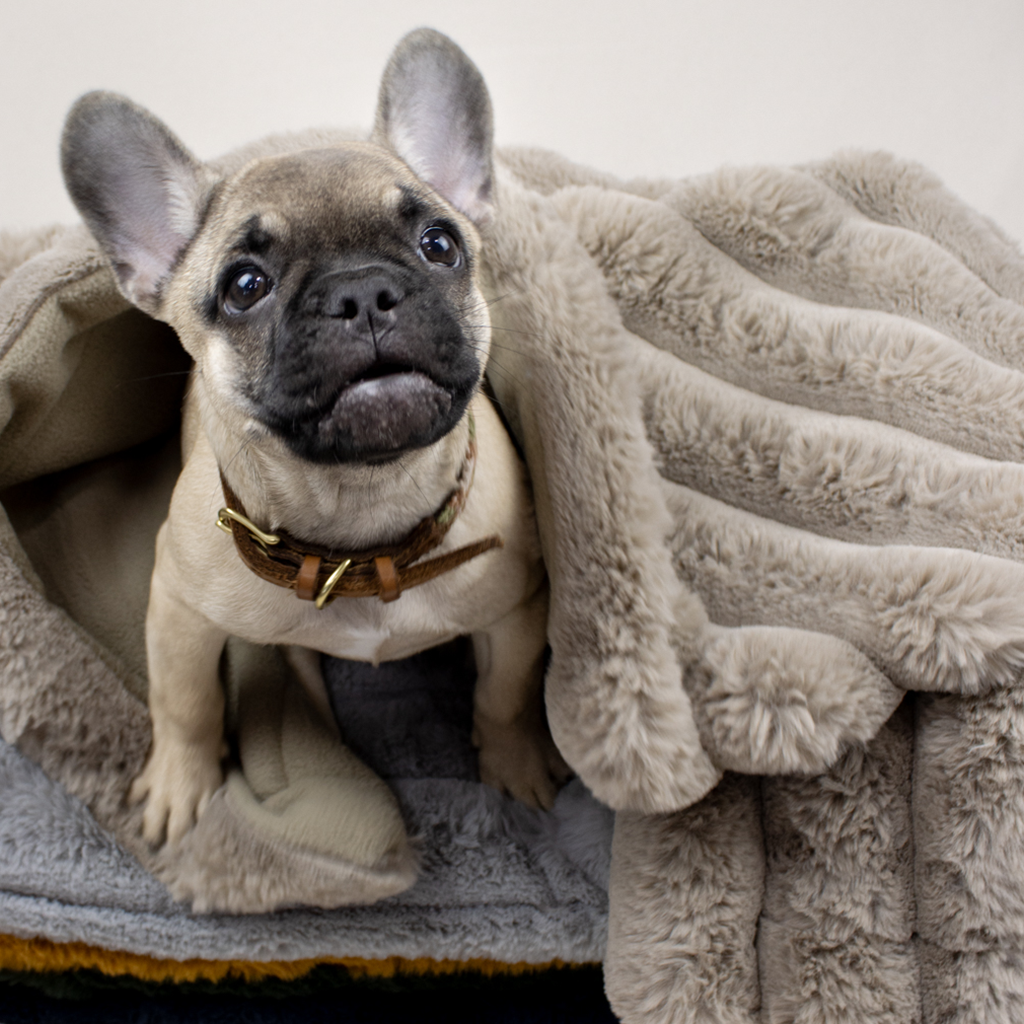Faux fur and Fleece Blanket Bundle