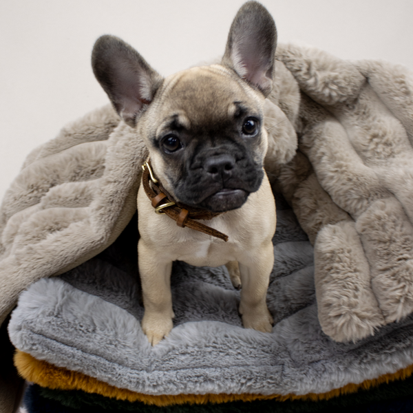 Faux fur and Fleece Blanket Bundle