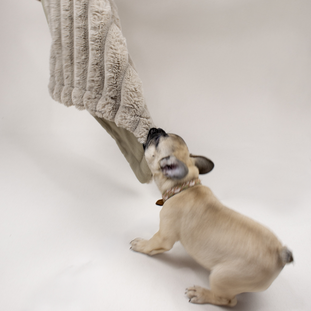 Faux fur and Fleece Blanket Bundle