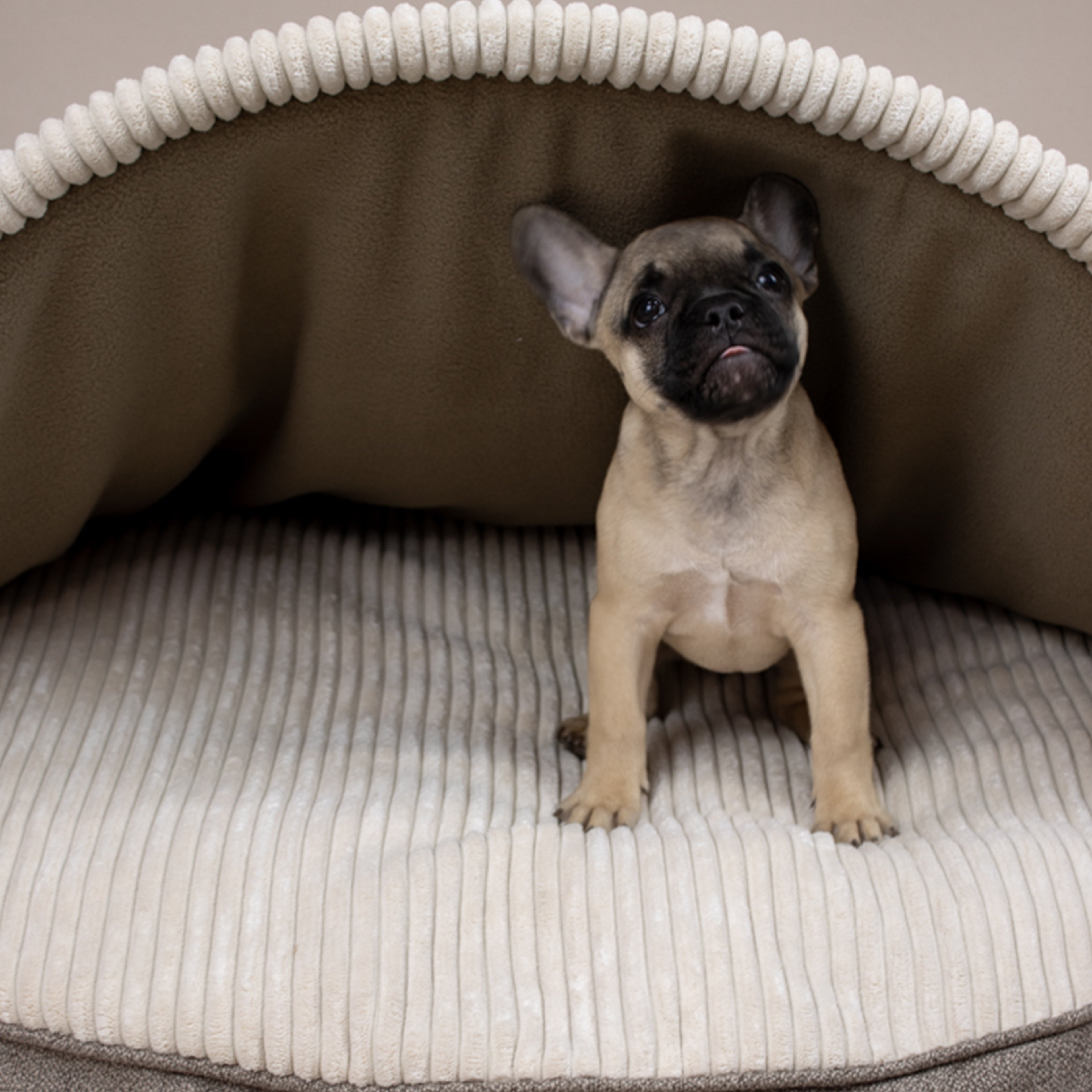 Cave Pet Bed