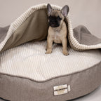Cave Pet Bed (COVER ONLY)