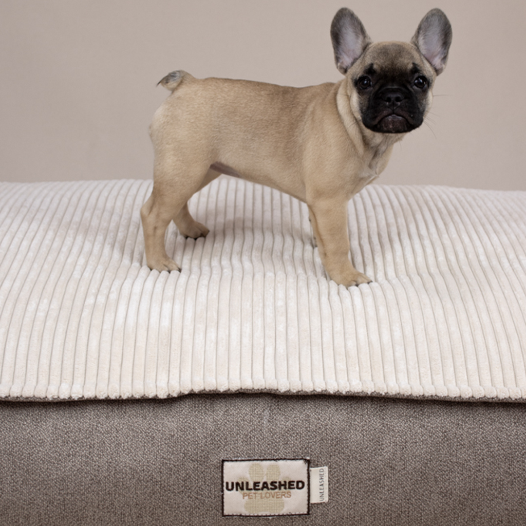 Oxford Pet Bed