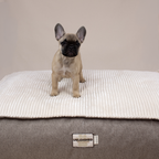 Oxford Pet Bed