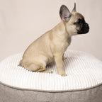 Round Pet Bed